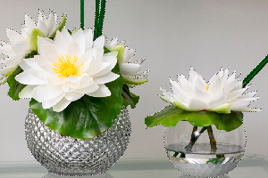 Outsource Clipping Path Company