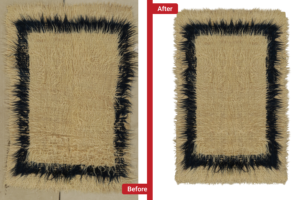 Fur Image Masking Services