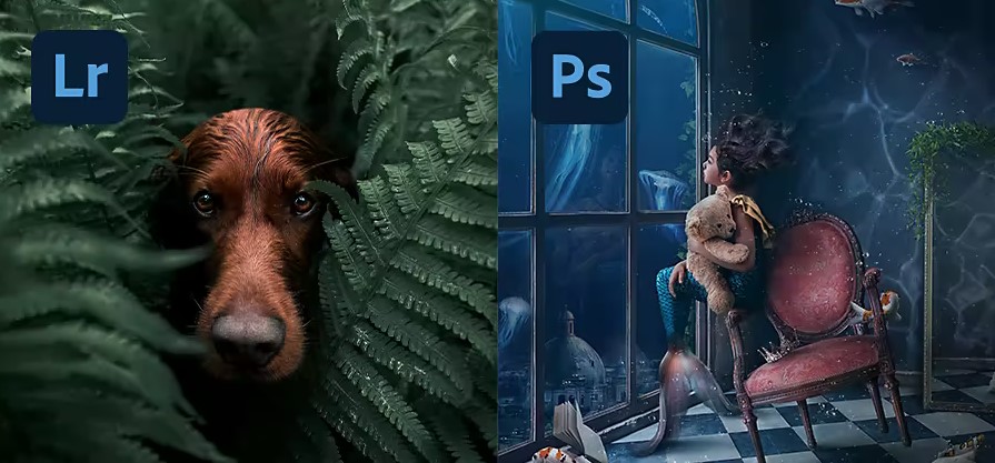 Photoshop vs. Lightroom